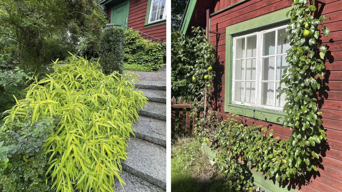 100 year old house in stockholm 28