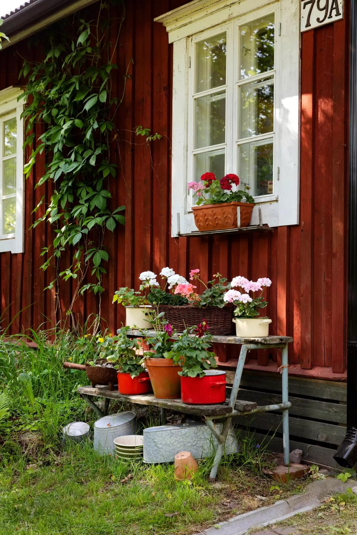 Flower pots by the red house