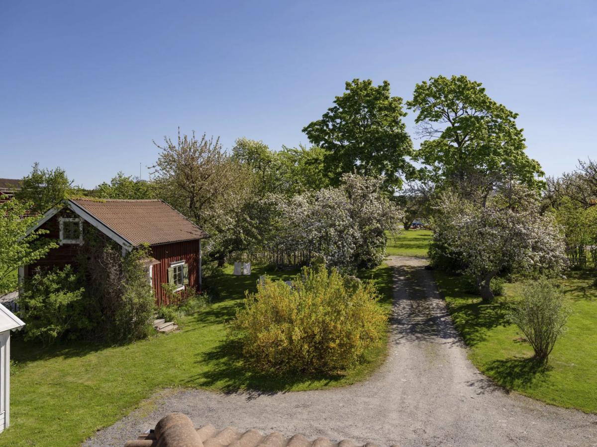 Area around the house in the Swedish countryside