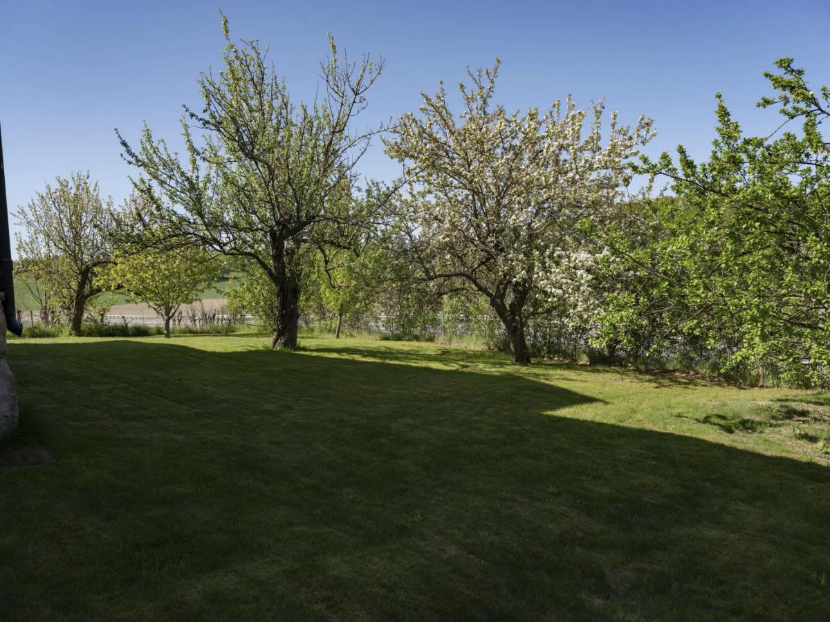 Apple trees in Sweden on a large plot