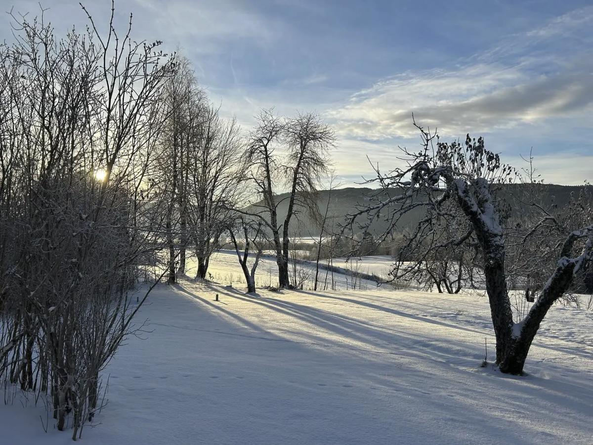 scandi vibecke sandaas house in norway 21