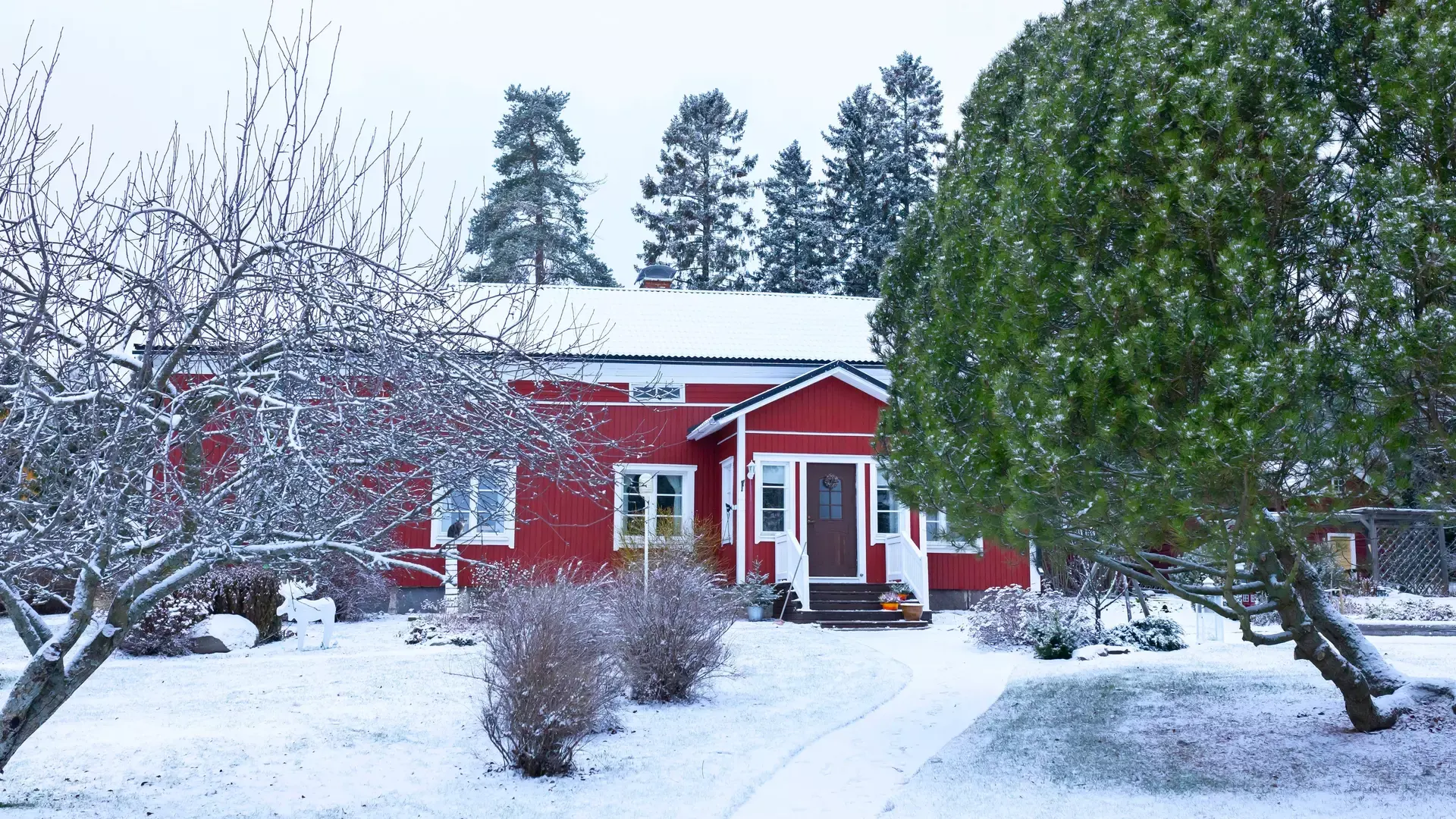 Finnish Cozy Cottage prev