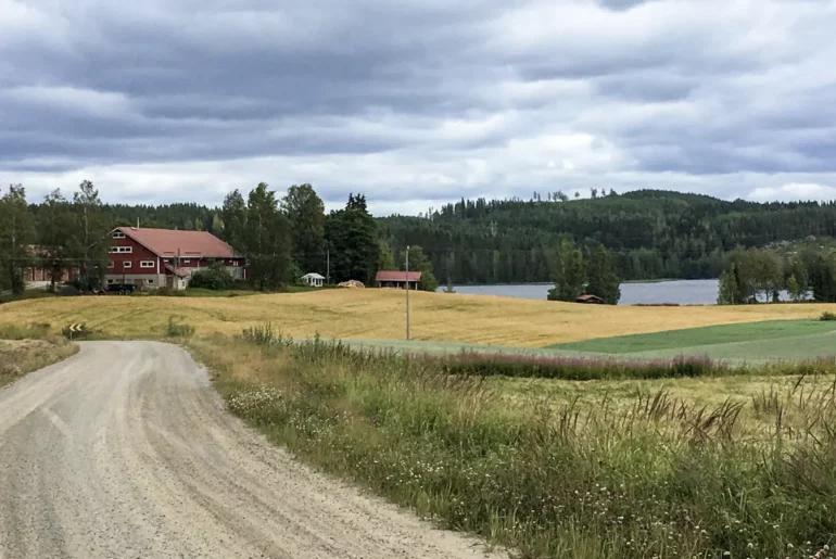 How Retirees Live in Finland: A Tour of a Humble 100-Year-Old Home