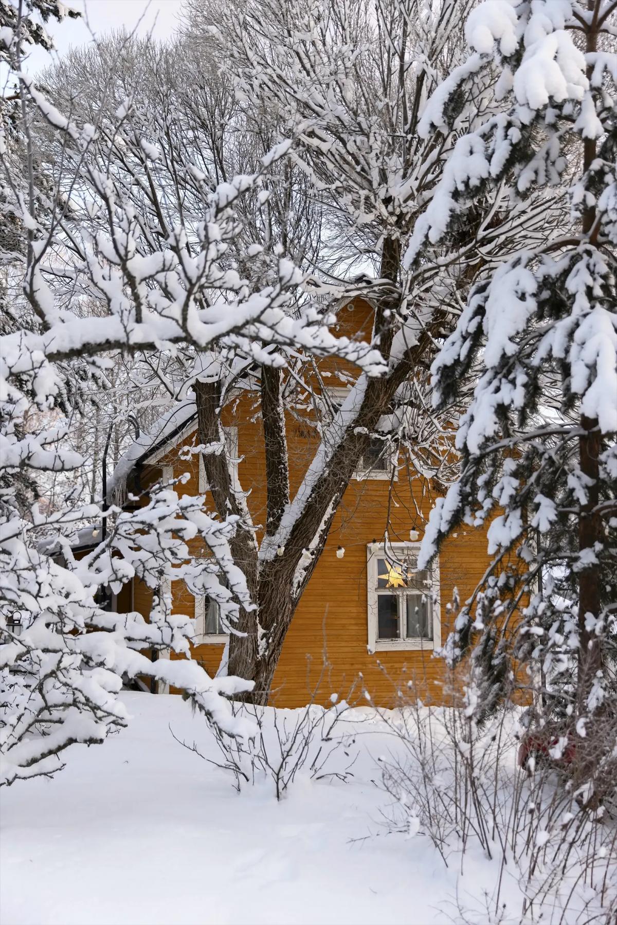 Yellow house in a snowy forest