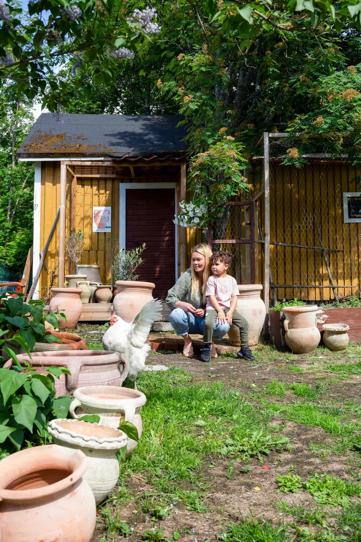 Lush green backyard of a Finnish home